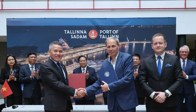 &apos;Ông trùm&apos; vận tải biển Việt Nam tham vọng phát triển cảng xanh ảnh 1