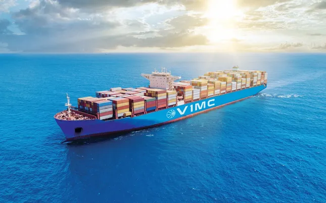 &apos;Ông trùm&apos; vận tải biển Việt Nam sắp xanh hóa đội tàu ảnh 3