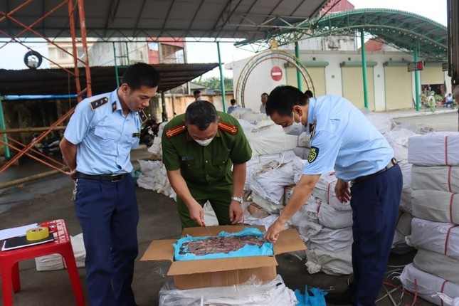 Phó Thủ tướng Bùi Thanh Sơn nhận thêm nhiệm vụ mới ảnh 1