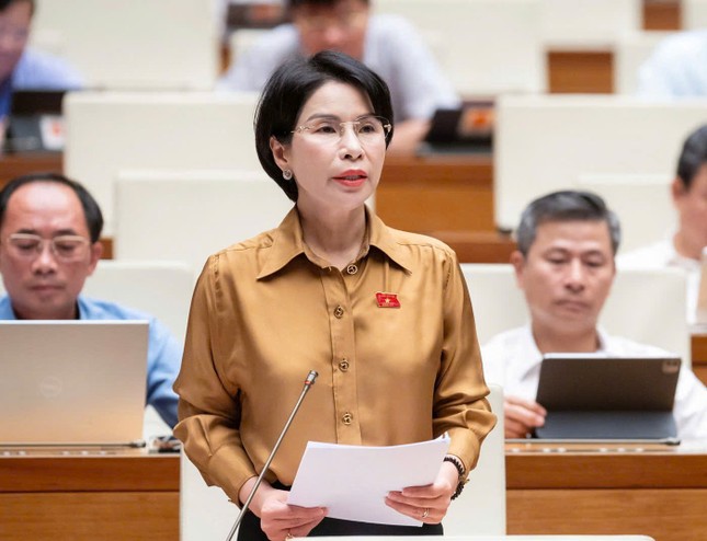 Đại biểu Quốc hội: Thanh tra bị &apos;trói tay, trói chân&apos; rất nhiều ảnh 2