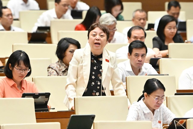 Đại biểu Quốc hội: Thanh tra bị &apos;trói tay, trói chân&apos; rất nhiều ảnh 1