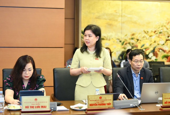 Đại biểu Quốc hội đề xuất bí thư kiêm chủ tịch cấp xã sau sáp nhập ảnh 2