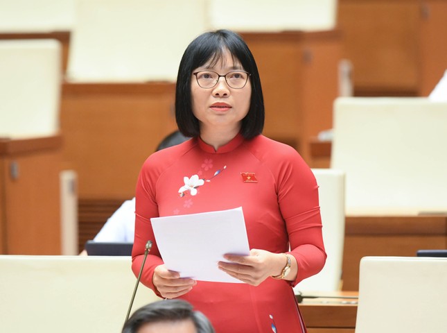 Viện dẫn vụ án Trương Mỹ Lan, đại biểu đề nghị không bỏ tử hình tội tham ô tài sản ảnh 3