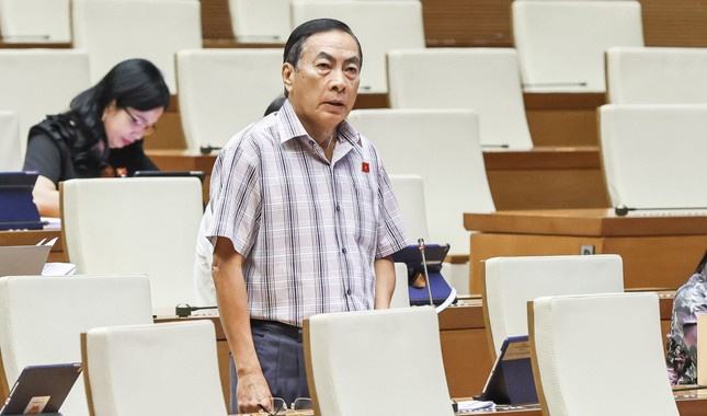 Viện dẫn vụ án Trương Mỹ Lan, đại biểu đề nghị không bỏ tử hình tội tham ô tài sản ảnh 2