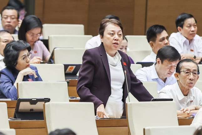 Viện dẫn vụ án Trương Mỹ Lan, đại biểu đề nghị không bỏ tử hình tội tham ô tài sản ảnh 1