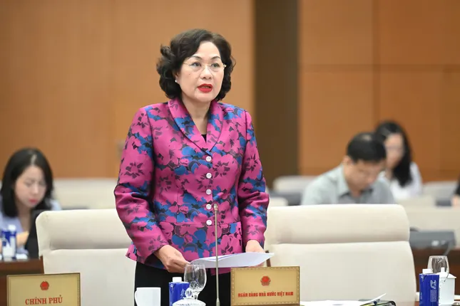 Thống đốc Nguyễn Thị Hồng: Cho vay đặc biệt lãi suất 0%/năm chỉ áp dụng với 2 trường hợp ảnh 1
