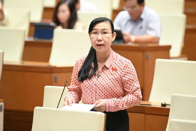 Mức phạt quá cao so với khả năng chi trả có thể dẫn đến trốn tránh, tiêu cực ảnh 2