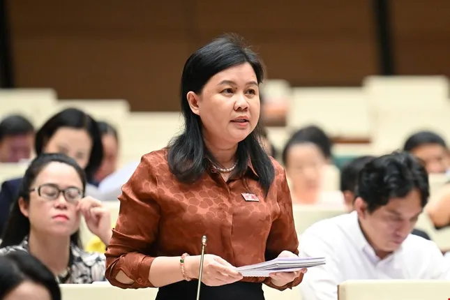 Đại biểu Quốc hội: Không để &apos;lạm phát văn bản&apos; trong thời gian sắp tới ảnh 1