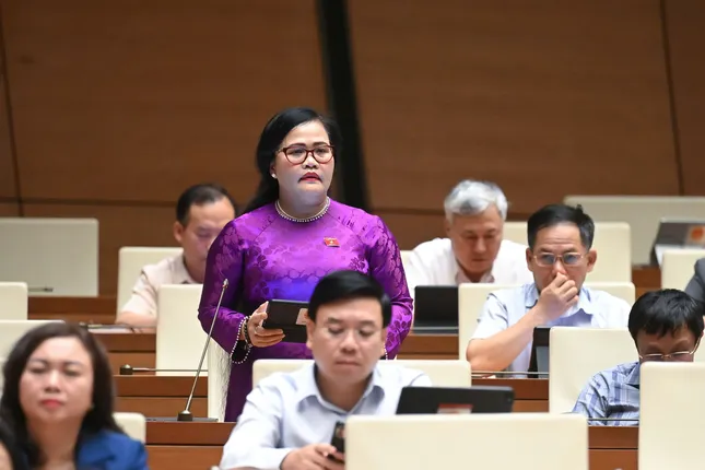 Chỉ định nhân sự không phải đại biểu HĐND chỉ nên &apos;áp dụng một lần duy nhất’ ảnh 2