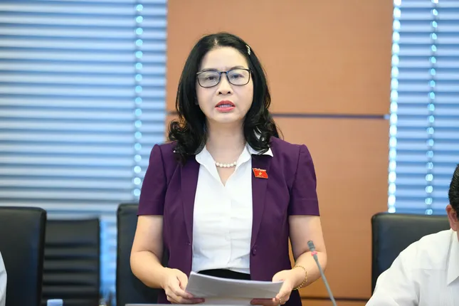  Đại biểu Quốc hội đề nghị nghiên cứu kỹ ngưỡng ‘kích hoạt’ tình trạng khẩn cấp ảnh 1