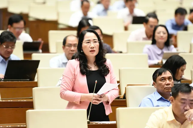 Thẩm quyền không minh bạch, rõ ràng, dễ dẫn đến &apos;tùy nghi áp dụng&apos; ảnh 1