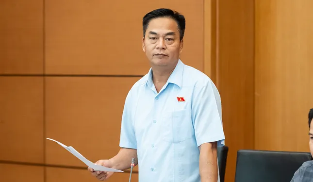  Đại biểu Quốc hội đề nghị nghiên cứu kỹ ngưỡng ‘kích hoạt’ tình trạng khẩn cấp ảnh 2