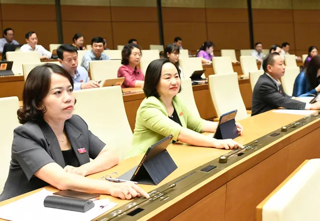 Rút ngắn thời gian thực hiện quy trình bầu cử, kịp thời kiện toàn nhân sự ảnh 1