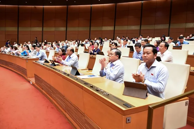 Chính phủ thống nhất chỉ đạo lực lượng Việt Nam tham gia gìn giữ hòa bình Liên Hợp Quốc ảnh 1