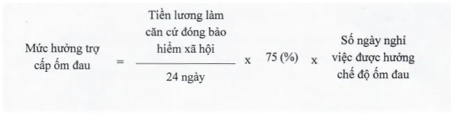 Quy định mới nhất về chế độ ốm đau, trợ cấp một lần, thời điểm hưởng lương hưu ảnh 1