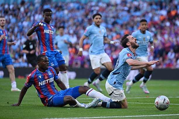 Đánh bại Man City, Crystal Palace vô địch FA Cup ảnh 35