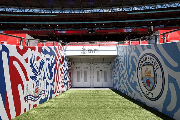 Đánh bại Man City, Crystal Palace vô địch FA Cup ảnh 57