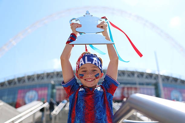 Đánh bại Man City, Crystal Palace vô địch FA Cup ảnh 61