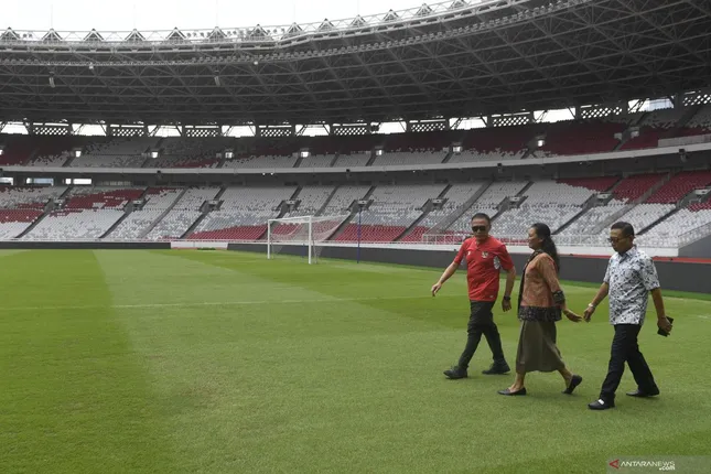 AFC 'khai tử' sân cỏ nhân tạo tại Asian Cup và vòng loại World Cup ảnh 1