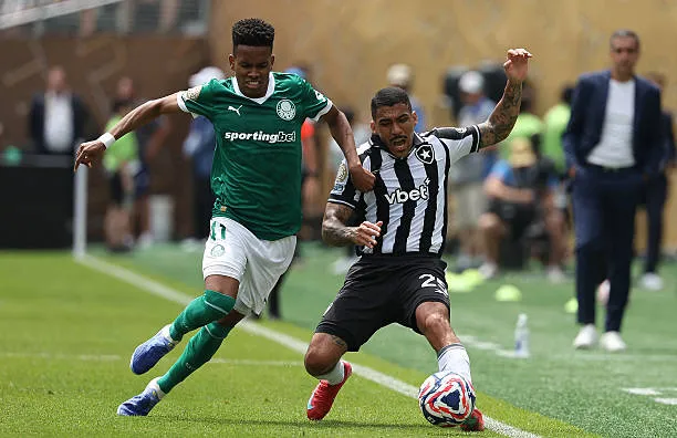 Trực tiếp Palmeiras vs Botafogo 0-0 (H1): Thẻ vàng đầu tiên ảnh 3