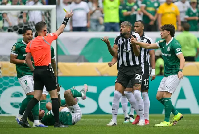 Trực tiếp Palmeiras vs Botafogo 0-0 (H1): Thẻ vàng đầu tiên ảnh 7