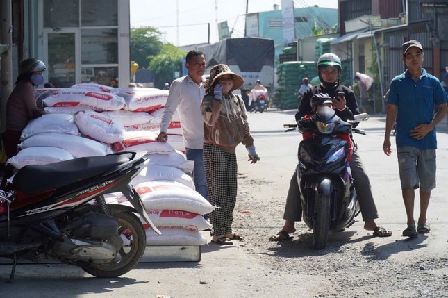 Lý do người dân đổ xô đi mua gạo ảnh 2