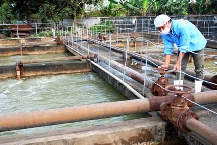 Công bố kết luận thanh tra các doanh nghiệp ở Ninh Bình ảnh 1