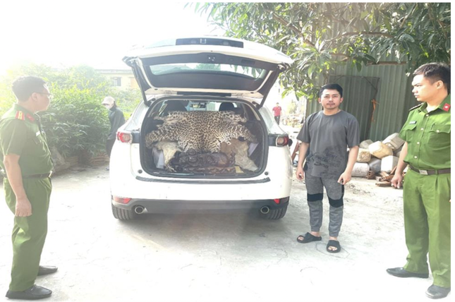Khởi tố đối tượng mua bán da báo hoa mai ảnh 1
