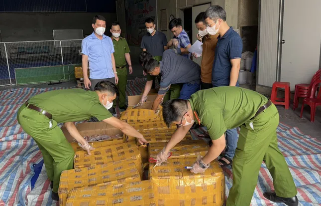 Phát hiện hơn 20 tấn sản phẩm động vật đông lạnh có dấu hiệu ôi thiu ảnh 1