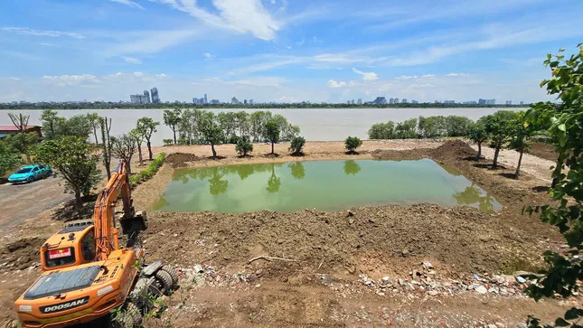 Hà Nội: Kiên quyết xử lý 'công trường' vi phạm hành lang thoát lũ sông Hồng ảnh 1