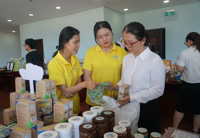 Đà Nẵng giảm nghèo ấn tượng với các chính sách đặc thù ảnh 2