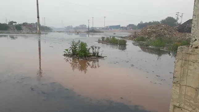 Cảnh dòng sông Ngũ Huyện Khê ô nhiễm như bãi sình lầy đổ ra sông Cầu ảnh 1