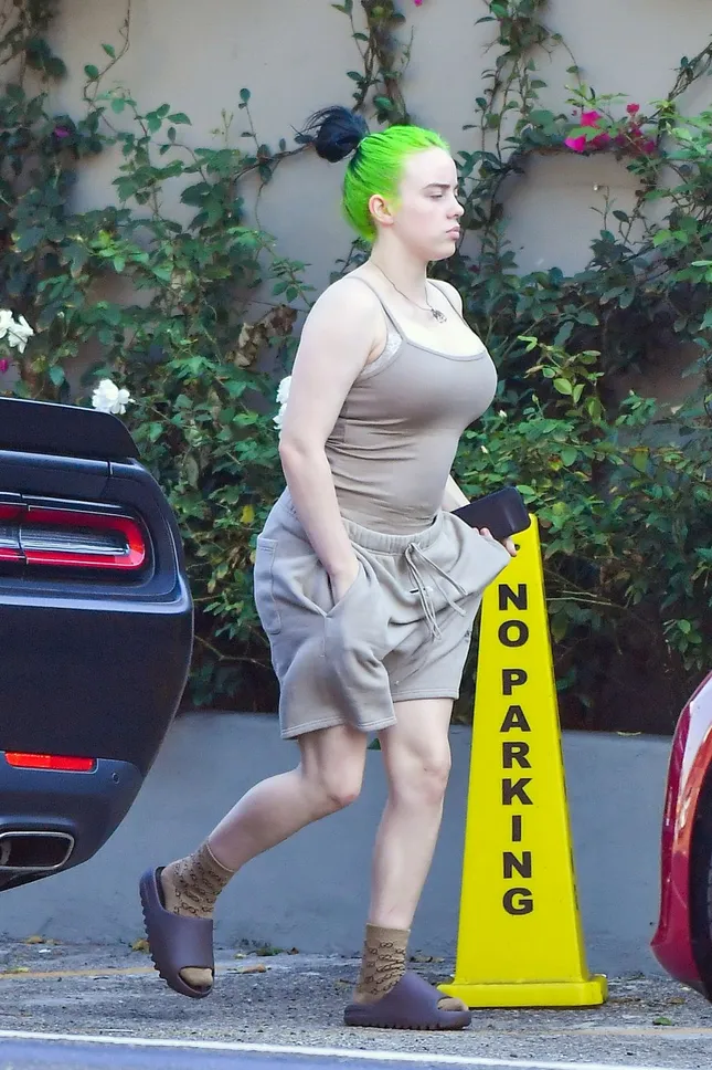 Billie Eilish bị cộng đồng mạng “ném đá” vô lý chỉ vì mặc trang phục này khi ra đường ảnh 1