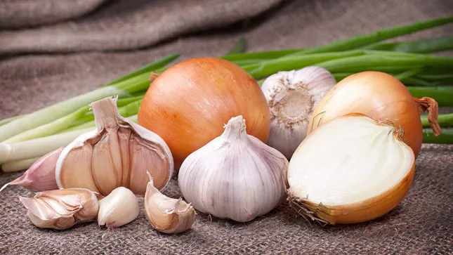 Cách giúp bạn giải quyết triệt để rắc rối vụ hơi thở “có mùi” khiến cuộc đời mãi F.A ảnh 1