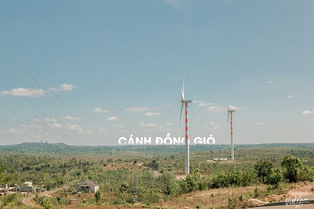 Nếu có dịp ghé Đắk Lắk, đừng quên “sống ảo” ở cánh đồng quạt gió “siêu to khổng lồ“ ảnh 1
