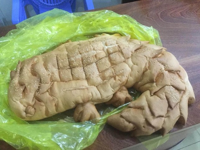 Cô gái đặt mua bánh mì cá sấu qua mạng, lúc nhận hàng không biết nên khóc hay nên cười ảnh 3