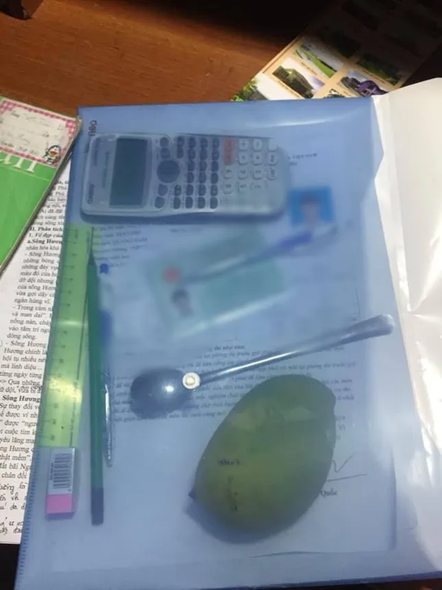Loạt đồ vật “bá đạo” teen mang vào phòng thi năm nay: Xoài, muỗng, thậm chí cả... mèo! ảnh 6