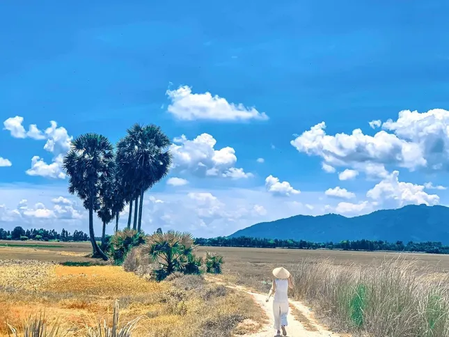 Rủ ngay hội bạn thân tới chụp ảnh “sống ảo” với cây thốt nốt hình trái tim ở An Giang nào! ảnh 2