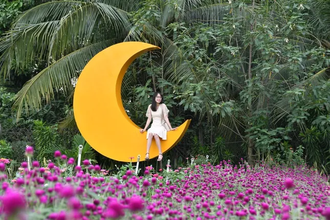Địa điểm check-in Tết Dương lịch 2021: “Vườn hoa Đà Lạt” giữa lòng Sài Gòn hút giới trẻ ảnh 9