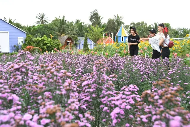 Địa điểm check-in Tết Dương lịch 2021: “Vườn hoa Đà Lạt” giữa lòng Sài Gòn hút giới trẻ ảnh 1