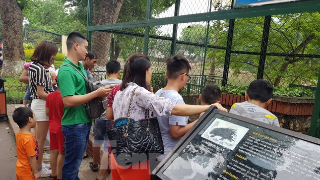 Công viên Thủ Lệ ken đặc người ngày Tết thiếu nhi ảnh 2