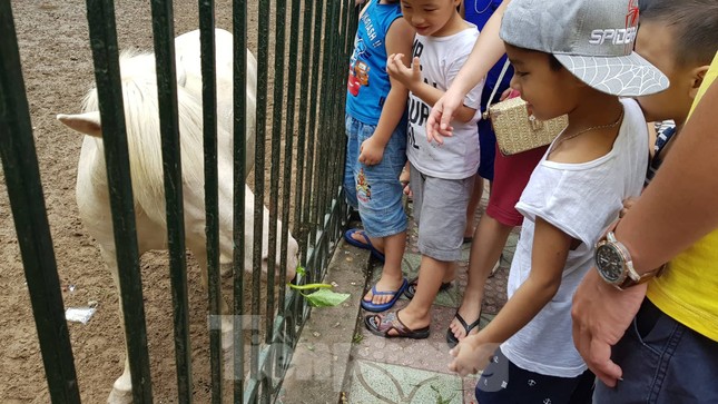 Công viên Thủ Lệ ken đặc người ngày Tết thiếu nhi ảnh 3