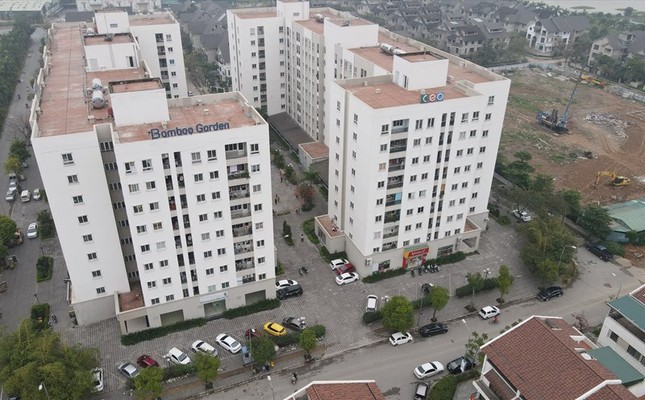 Thị trường BĐS năm 2025 sẽ tăng trưởng ở phân khúc nào? ảnh 2
