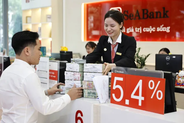 Tiền người dân gửi ngân hàng tăng kỷ lục ảnh 1