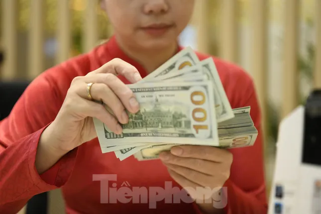 Vì sao USD mất vị thế nhưng tỷ giá tại Việt Nam cao kỷ lục? ảnh 1