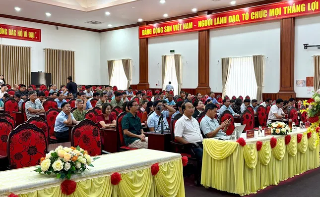 Khủng hoảng sầu riêng: 'Chúng ta đều có trách nhiệm' ảnh 9