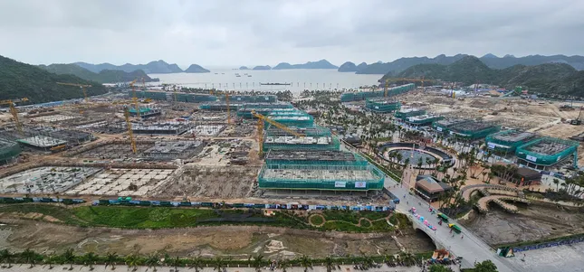 Thị trường BĐS &apos;triệt tiêu&apos; nhà đầu tư lướt sóng ngắn hạn ảnh 1