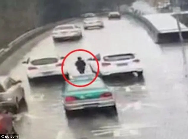 Bé trai chạy bộ 2km đuổi theo xe mẹ sau khi bị... bỏ quên ảnh 2
