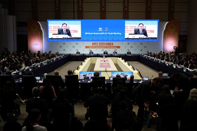 APEC thông qua tuyên bố chung về thương mại giữa lúc căng thẳng vấn đề thuế quan ảnh 1