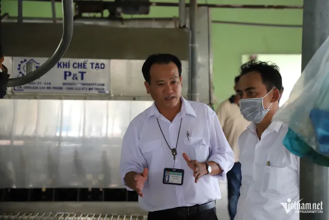 Cảnh khó hình dung ở lò giết mổ heo gia công cho C.P. Việt Nam tại Hậu Giang ảnh 7